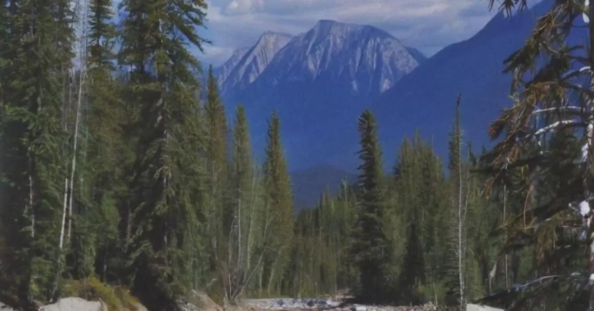 The Kootenay National Park