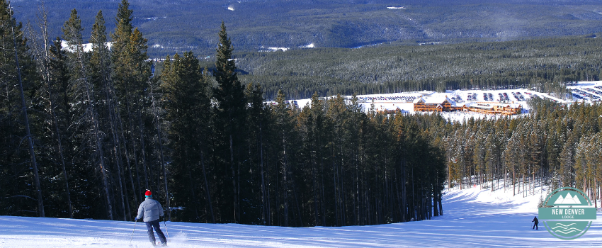 NDL - Man skiing in mountains