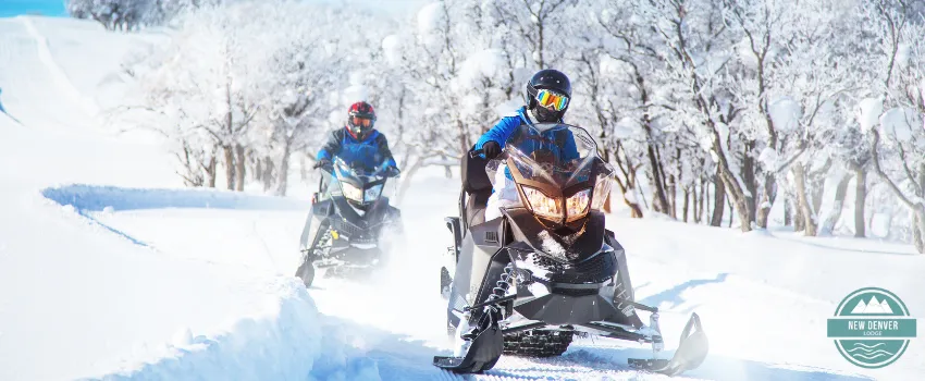 NDL - Two Snowmobilers