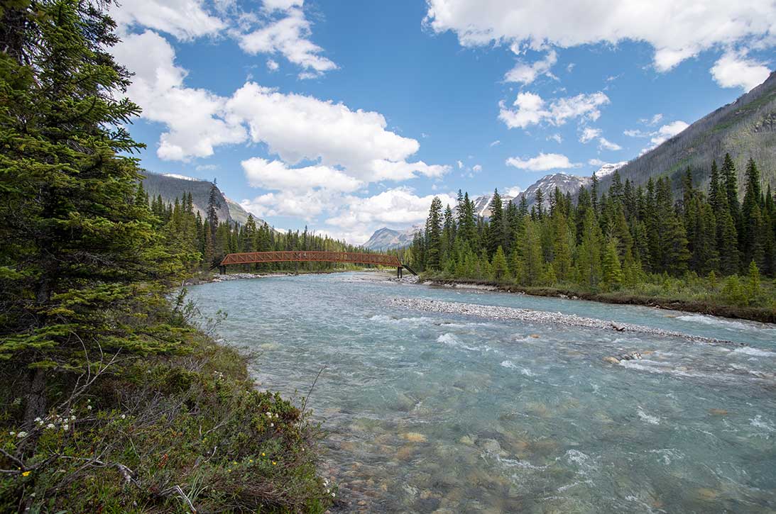 Surprisingly, the Kootenay's are an excellent Wine Growing Region