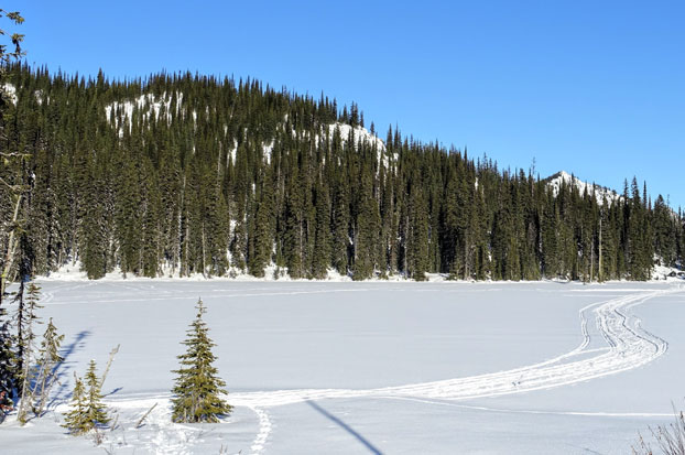 ndl - A scenic winter landscape view of cross country skii trackers on top of a frozen lake covered in snow